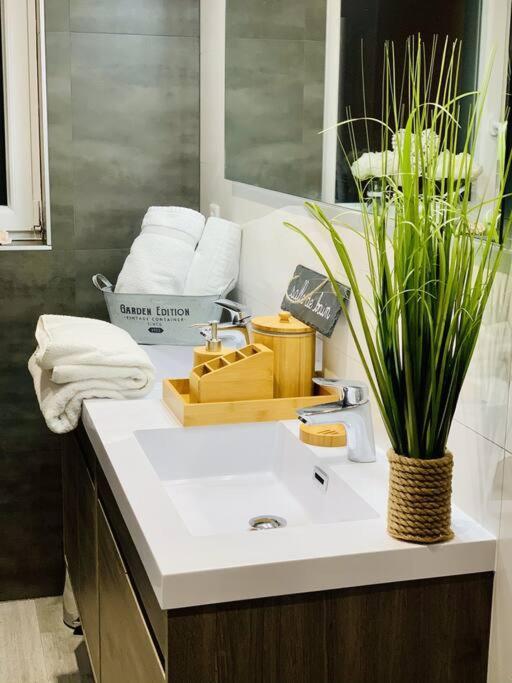 Gite Cosy Au Coeur De L'Alsace Roggenhouse Bagian luar foto